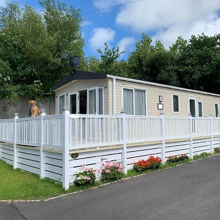 Mollys Retreat Pet Friendly Three Bed Caravan With Small Garden Newquay Bay Resort Quieter Area Of Park Exteriör bild