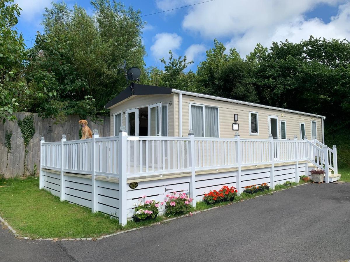 Mollys Retreat Pet Friendly Three Bed Caravan With Small Garden Newquay Bay Resort Quieter Area Of Park Exteriör bild