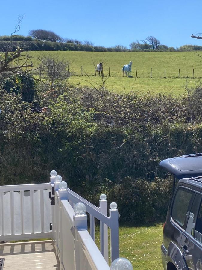 Mollys Retreat Pet Friendly Three Bed Caravan With Small Garden Newquay Bay Resort Quieter Area Of Park Exteriör bild